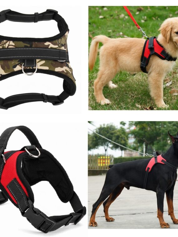 Leather Dog Harness