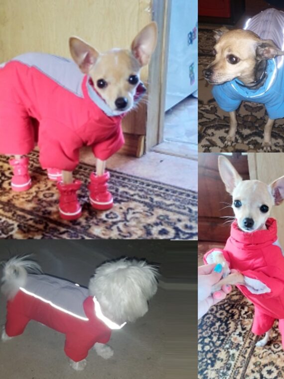 Waterproof Dog Snowsuit | Small Dog Snowsuit | Puppy Snowsuit | Dog Winter Snowsuit