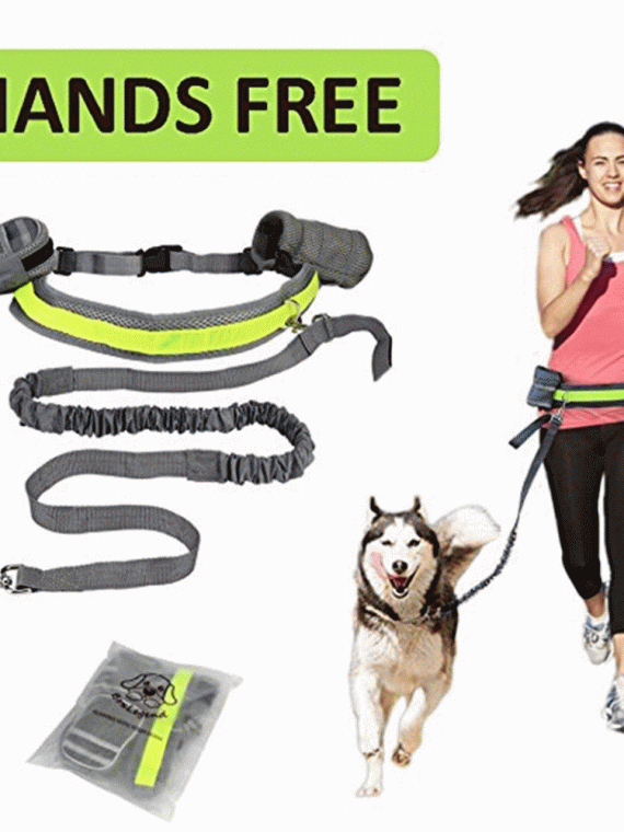 Hands Free Dog Leash | The Dog Jogging Leash | Dog Pulling on Leash