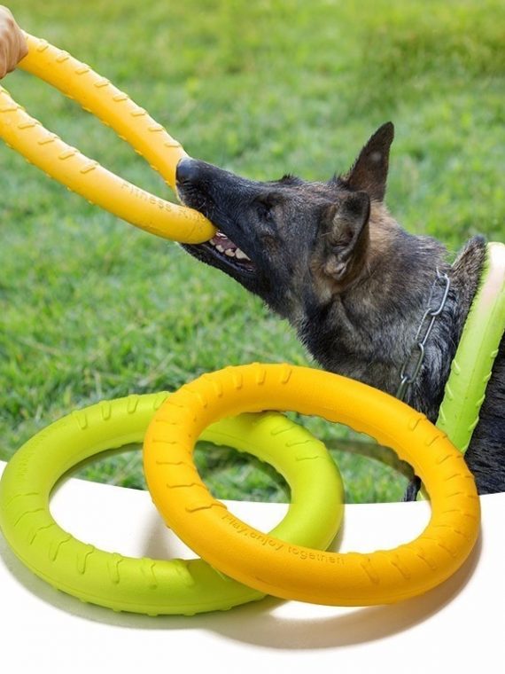Interactive Dog Toys | Dog Ring Toy | Dog Training Toys