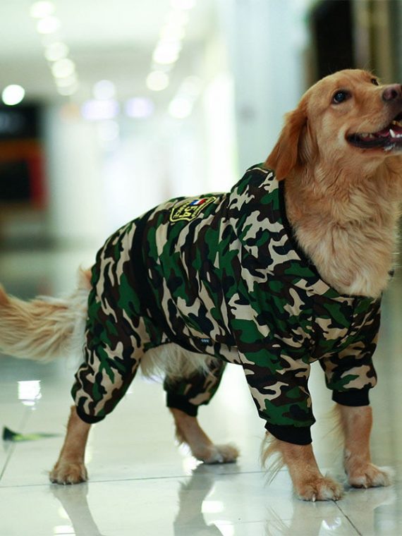Large Dog Snowsuit | Waterproof Dog Snowsuit | Dog Winter Snowsuit