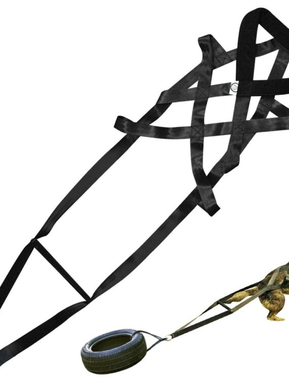 Dog Training Supplies | Dog Leashes Chest Straps