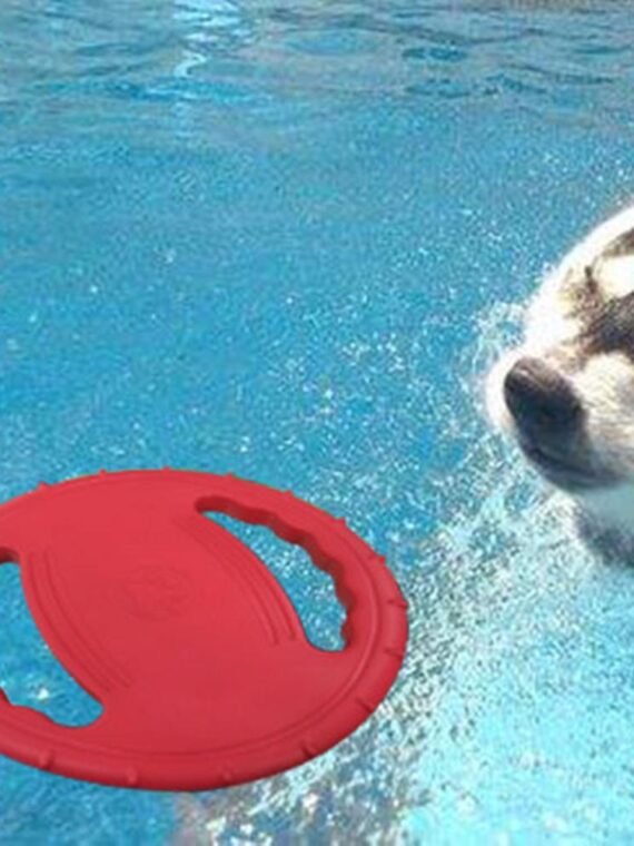 DogMEGA Dog Training Flying Discs | Dog Training Ring Portable Outdoor
