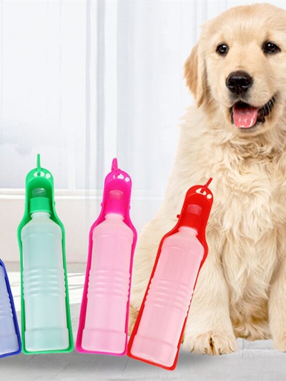 Convenient Compact Water Bottle For Dogs When Going Out