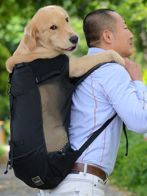 Breathable Carrier Bag For Large Dog