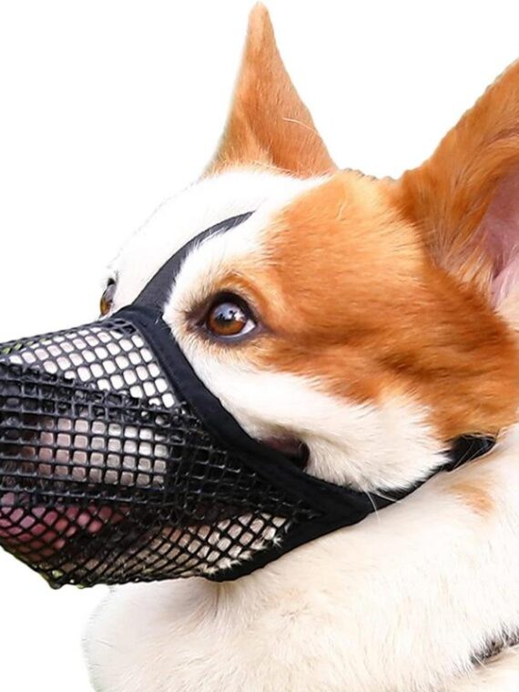 Dog Muzzle - Soft Mesh Covered Mouth Guard