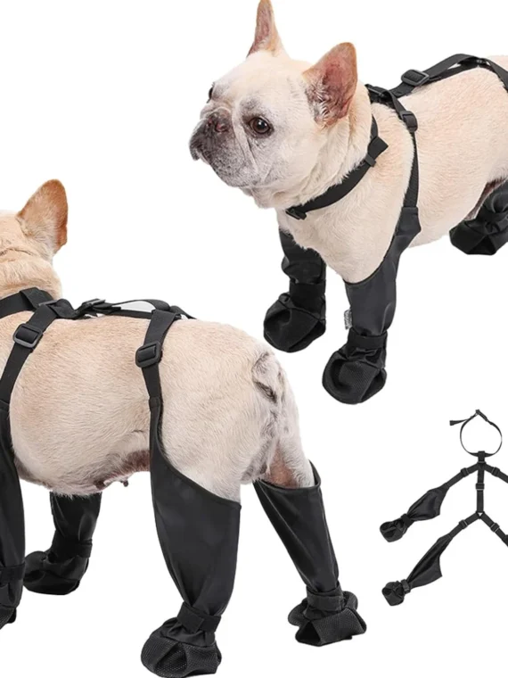 DogMEGA Non-Slip Suspender Dog Boots